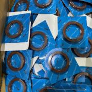 Charging Pump Seal