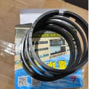 Ring Piston 490